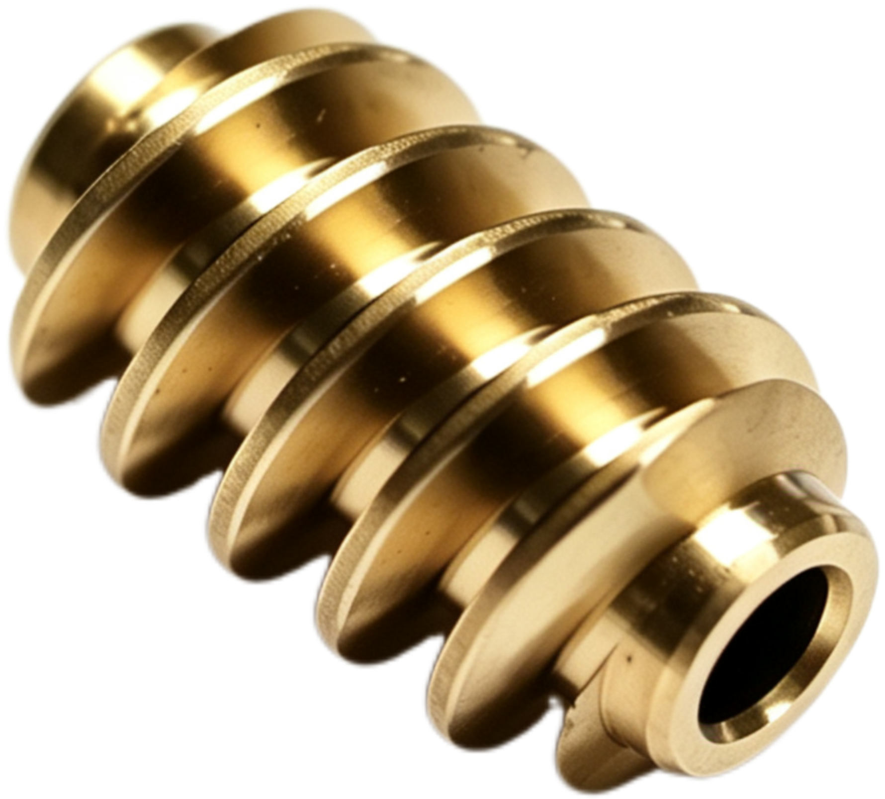 Hollow Shaft Worm