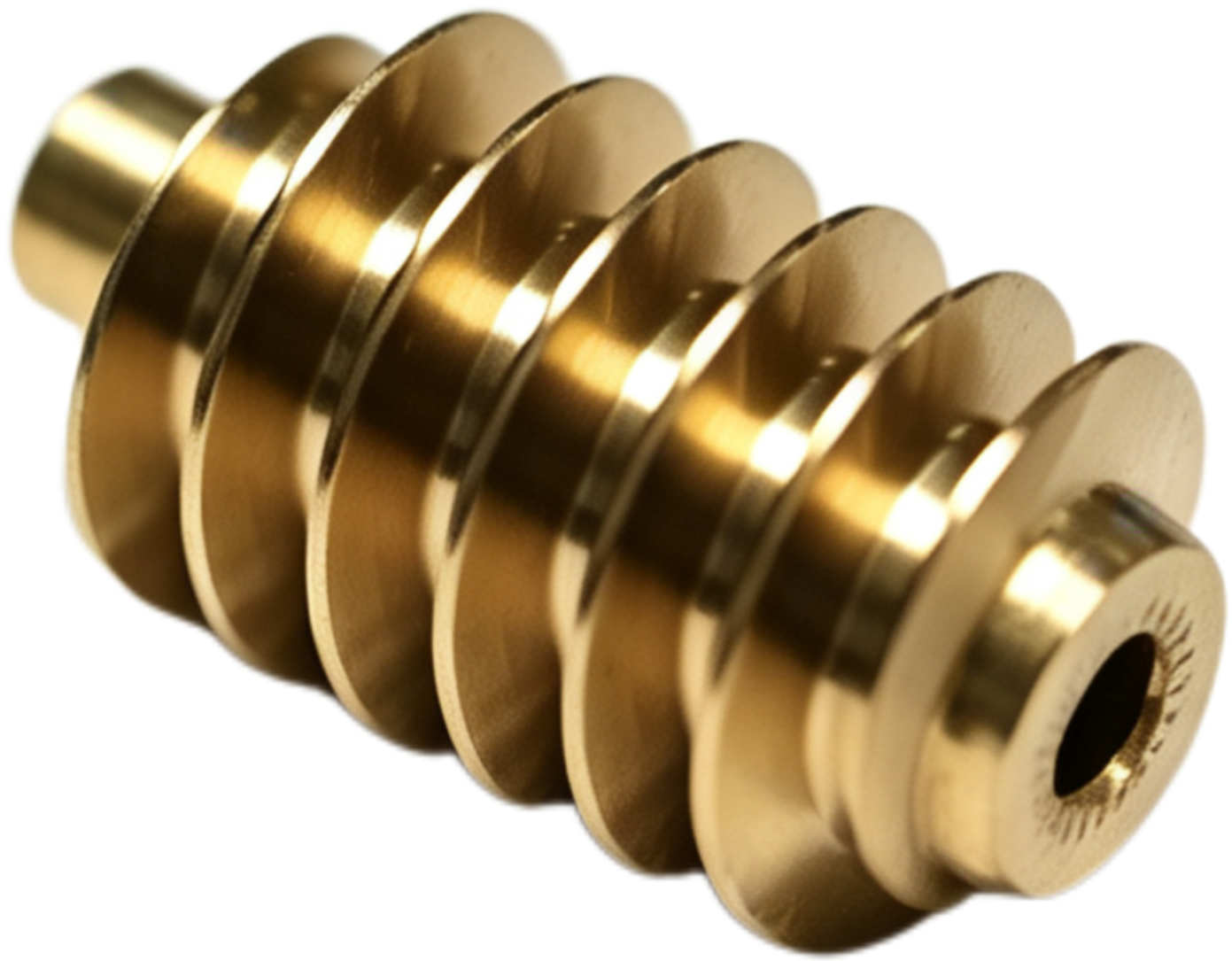 Hollow Shaft Worm